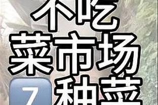 美媒MVP投票：共三人获得选票 SGA与约基奇43.3%&东契奇13.3%